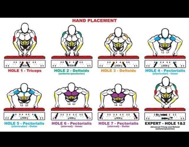집에서 몸짱될 수 있는 운동 3대천왕 총정리.jpg | 인스티즈