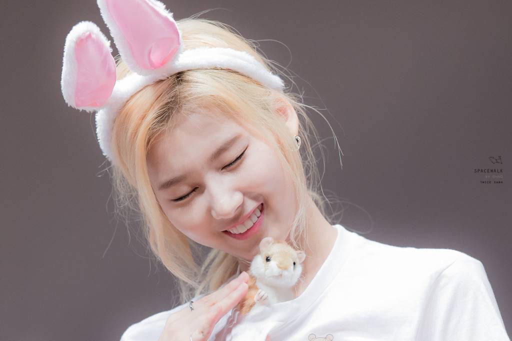 토끼 머리띠 트와이스 사나 | 인스티즈