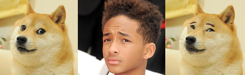 견종 이야기 - 시바견 | 인스티즈