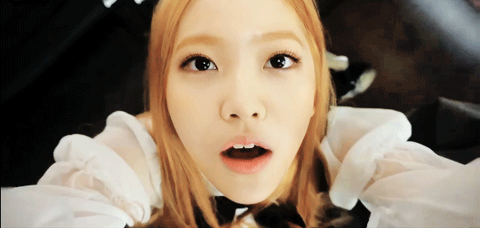 꼬부기들.GIF | 인스티즈