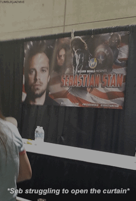 [세바스찬스탠] 코믹콘에서도 밈(meme)의 제왕 세즈 | 인스티즈