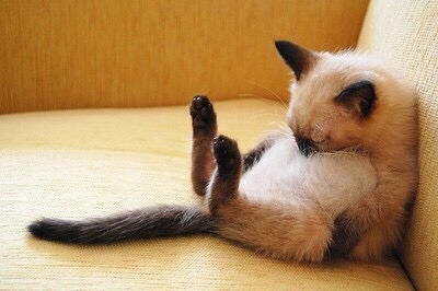 잘자내꿈꿔 | 인스티즈