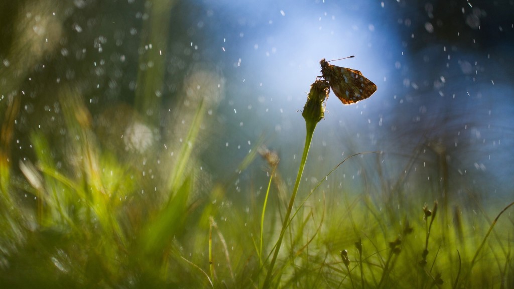 배경화면으로 쓰기 좋은 일러스트 | 인스티즈