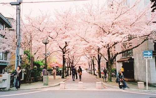  걷고 싶은 거리 고르기 | 인스티즈