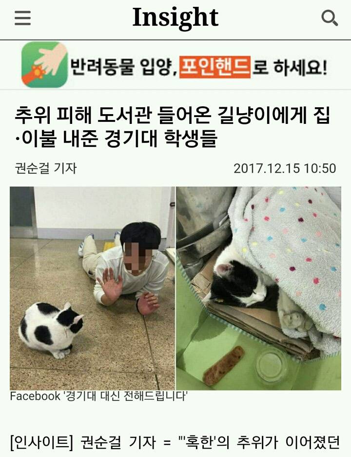 추위 피해 도서관 들어온 길냥이에게 집·이불 내준 경기대 학생들 | 인스티즈