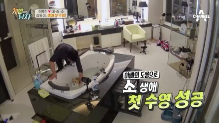 [개밥주는남자] 웰시코기 삼둥이 대중소의 일상.jpg | 인스티즈