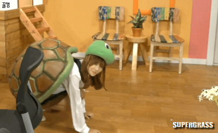 꼬부기들.GIF | 인스티즈