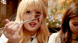 잘 먹는 모모.gif | 인스티즈