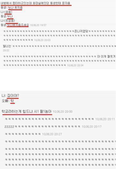 현실 남매들의 대화 | 인스티즈