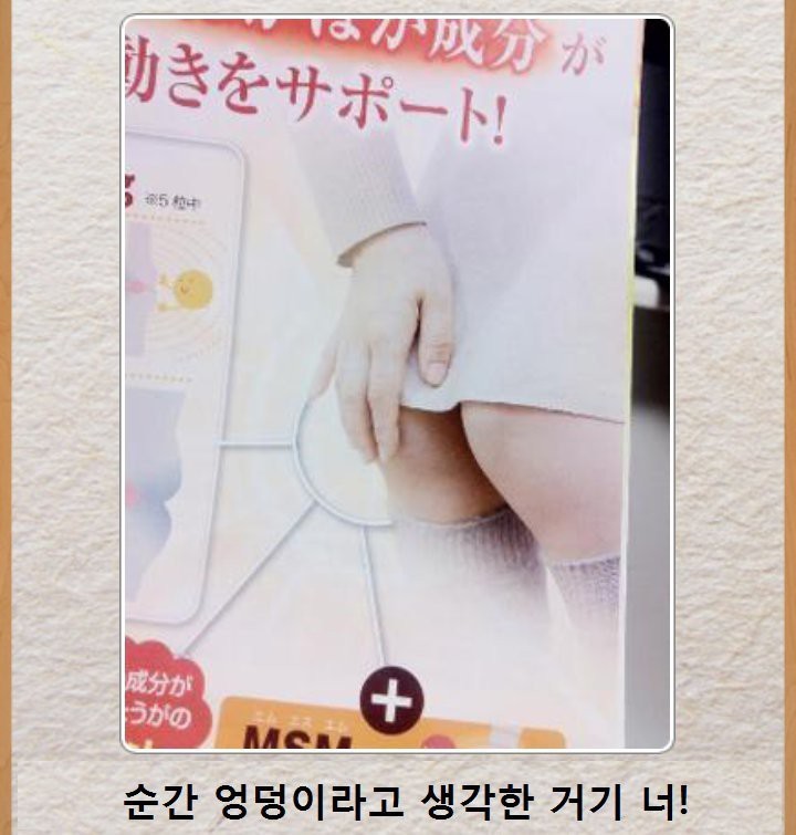 일생가 가늠하게 하는 짤 | 인스티즈