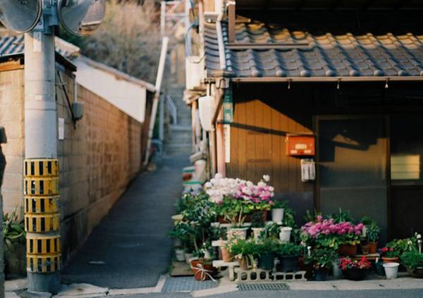 많은 사람들이 좋아하는 일본 특유의 청량감있고 아련한 분위기 | 인스티즈