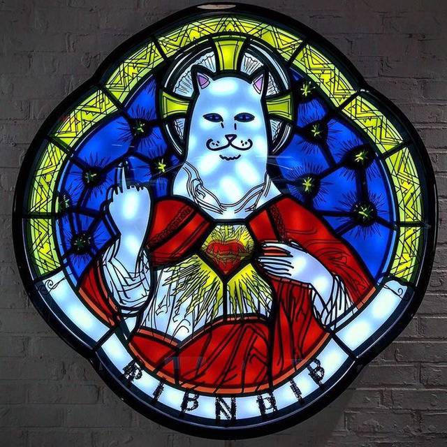 [ripndip] 유명 고양이 아이템 | 인스티즈