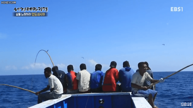 인도네시아의 참치 잡이 | 인스티즈