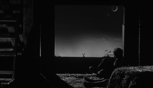 몽상가들에게 영화 추천 사냥꾼의 밤 1955 | 인스티즈