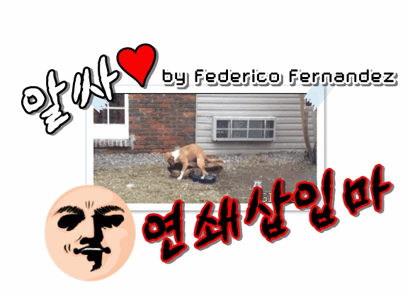 머슬퀸 경리.gif | 인스티즈