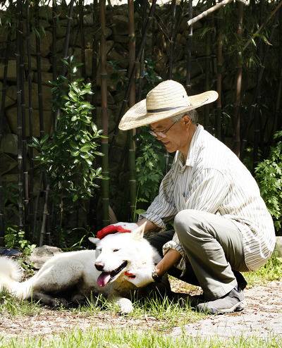 문재인 고양이,강아지 | 인스티즈