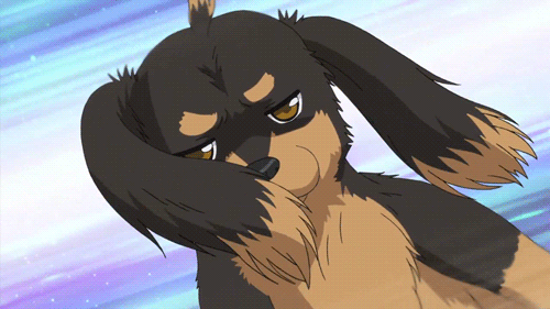 2D 강아지 (움짤多/ | 인스티즈