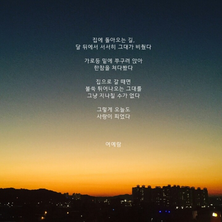 무의식 중에도 나는 왜 네가 생각났는지 모르겠다 - 여예람 | 인스티즈