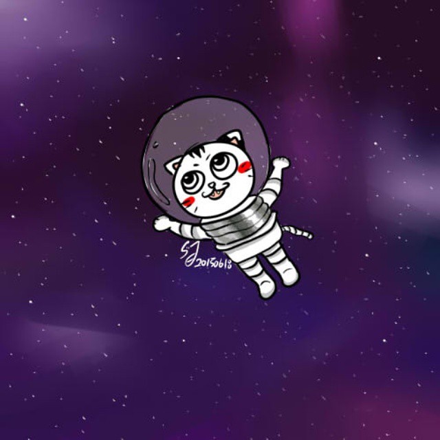 고양이 캐리어 | 인스티즈