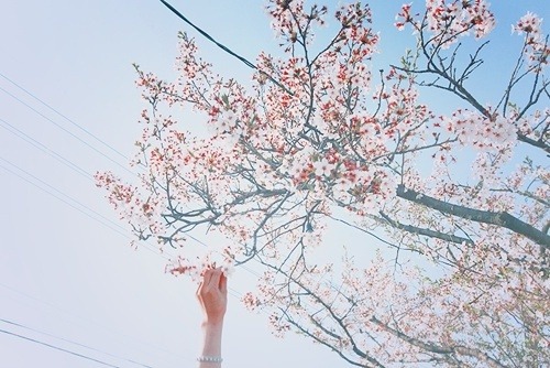  걷고 싶은 거리 고르기 | 인스티즈