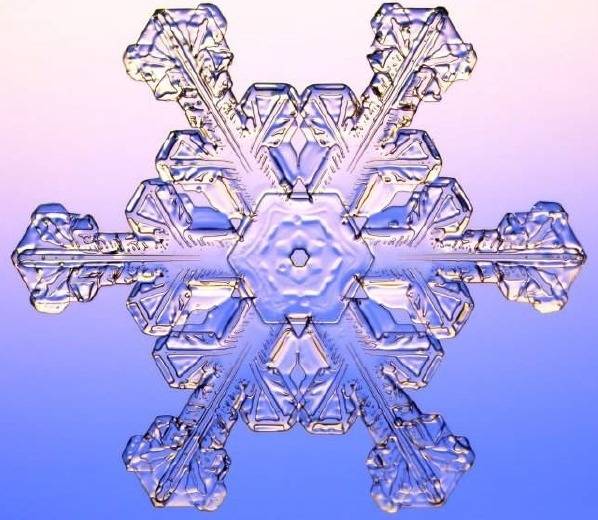 자연의 신비 - 눈결정 | 인스티즈