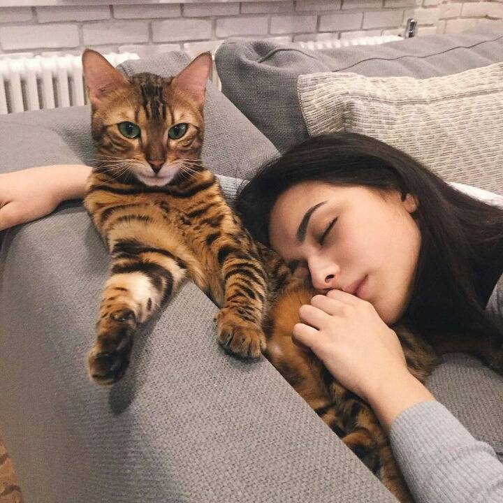 해외 스타의 일상사진 (feat. diana korkunova) | 인스티즈