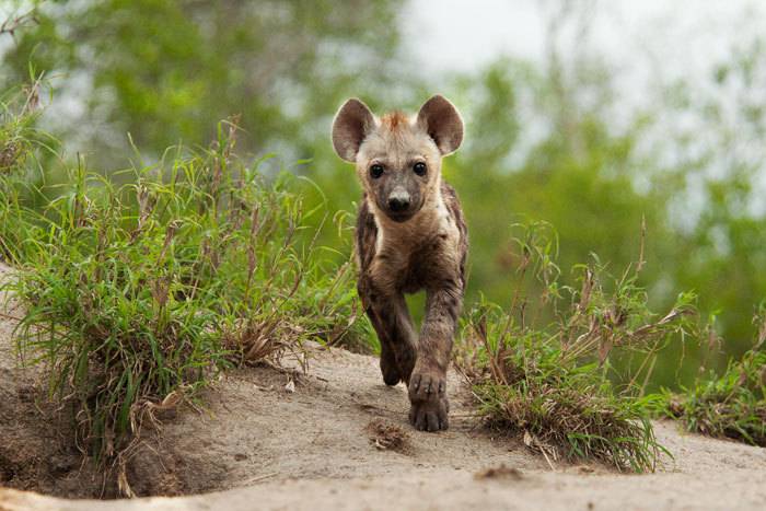 해볼만 하다 vs 미친듯이 도망간다 | 인스티즈