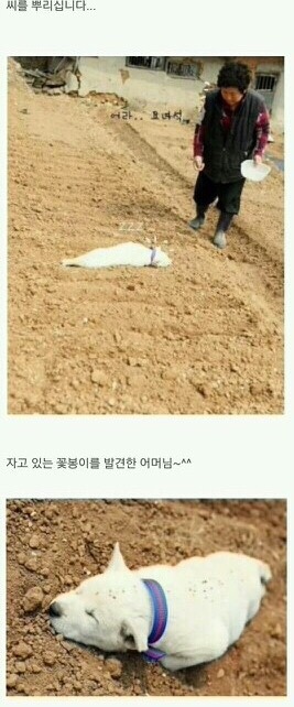 잘자내꿈꿔 | 인스티즈