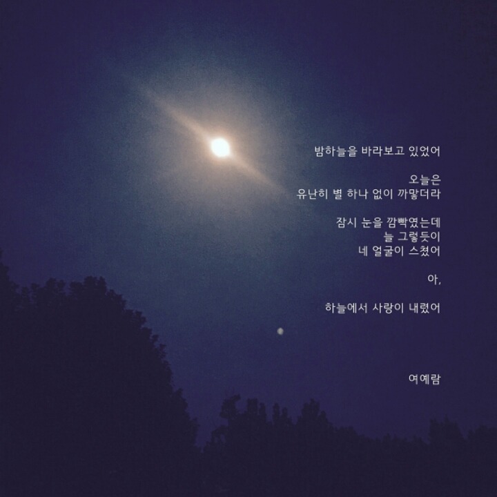 무의식 중에도 나는 왜 네가 생각났는지 모르겠다 - 여예람 | 인스티즈