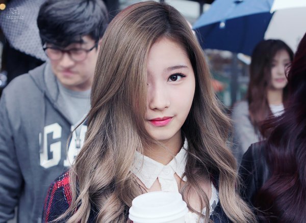 트와이스 사랑둥이 사나 .jpg | 인스티즈