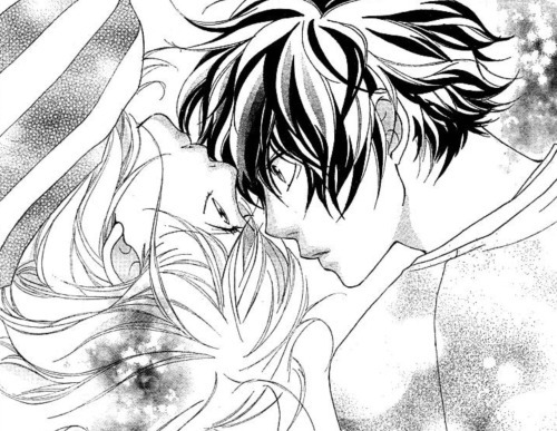 애니가 아닌 만화 속에서의 캐릭터들 (feat.새벽의 연화/아오하라이드) | 인스티즈