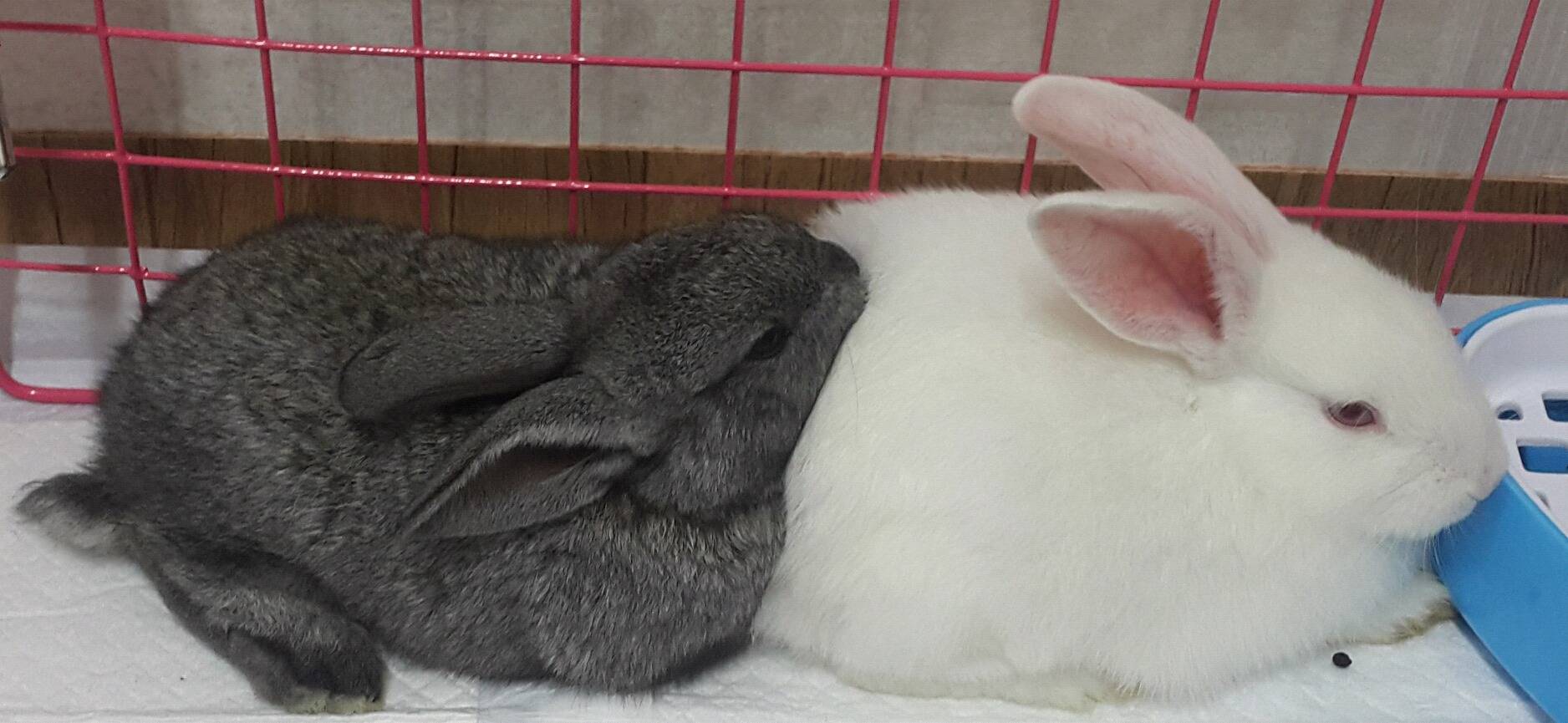 네 실화입니다 | 인스티즈