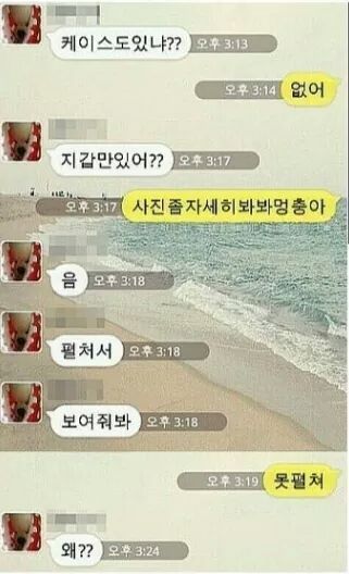 현실 남매들의 대화 | 인스티즈