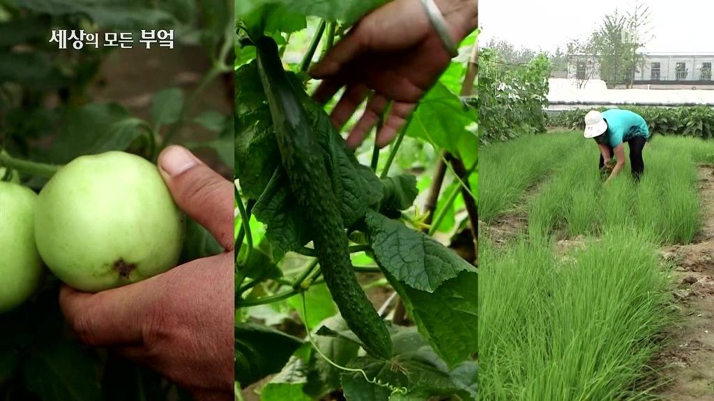 흔한 중국부자의 밥먹는 스케일.jpg | 인스티즈