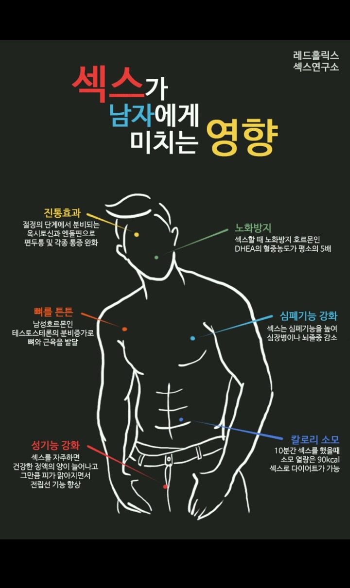 섹스를 해야하는 이유 | 인스티즈