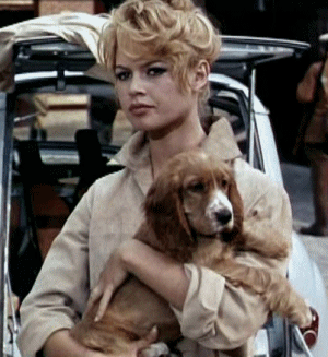 [브리짓바르도] 한때 프랑스 마릴린 먼로로 불린 스타일 아이콘(뒷태주의) | 인스티즈