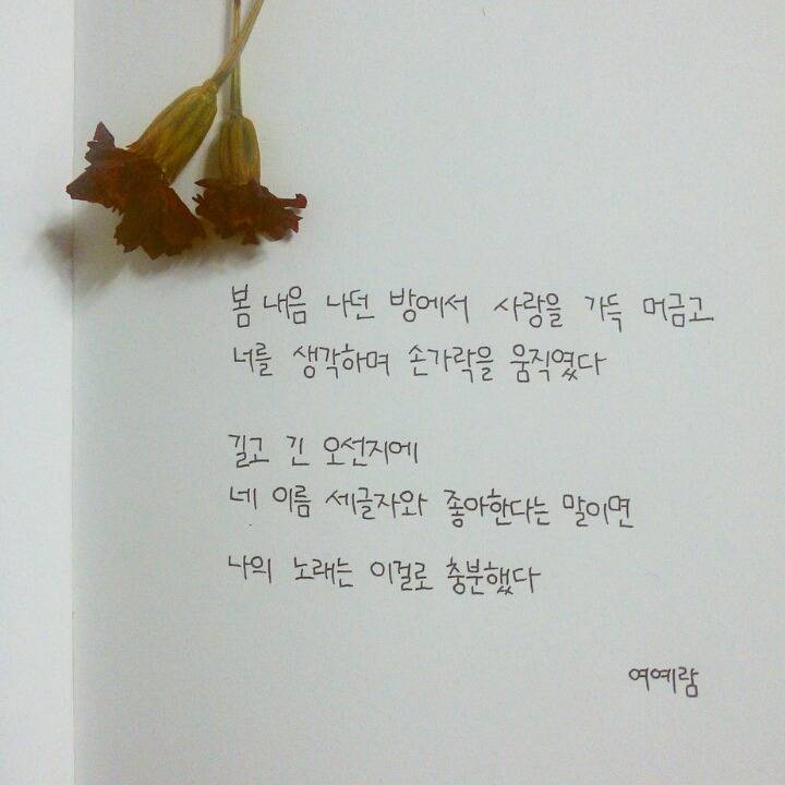 무의식 중에도 나는 왜 네가 생각났는지 모르겠다 - 여예람 | 인스티즈