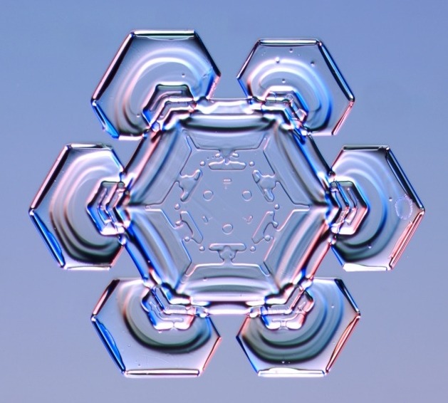 자연의 신비 - 눈결정 | 인스티즈