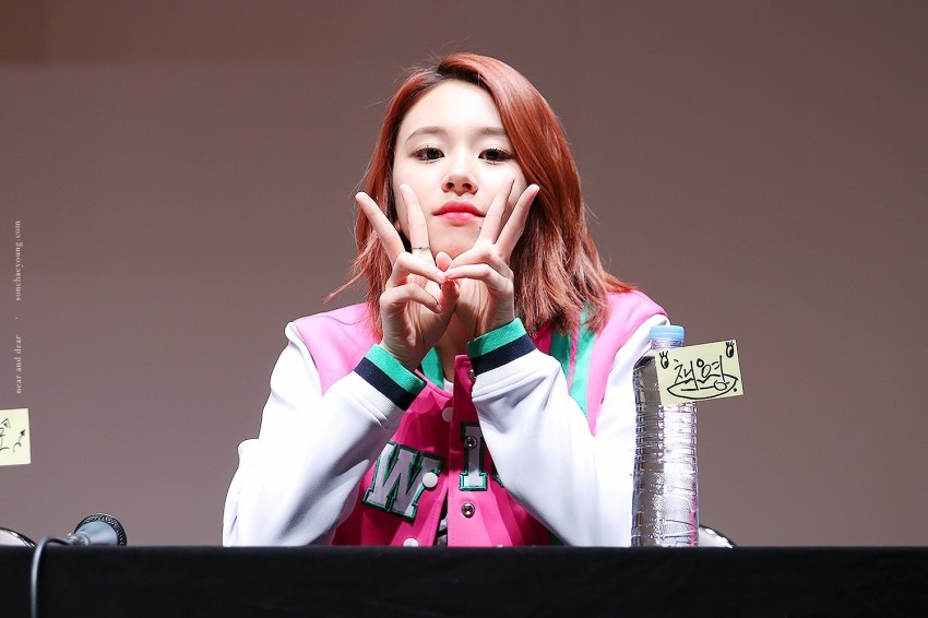 [트와이스] 아기맹수 채영이 짤 모음.gif | 인스티즈