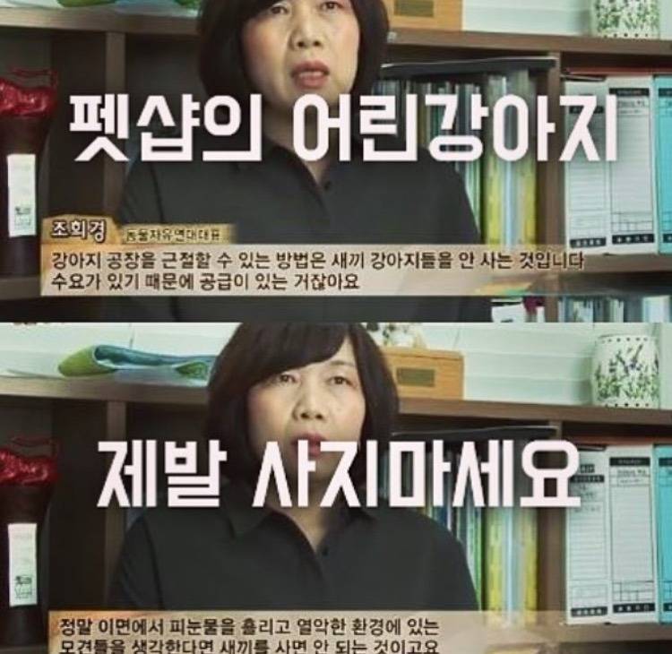 반려동물 입양원하는 쭉녀들!!!!! 강아지키우고잇는 사람도 봐줘 | 인스티즈