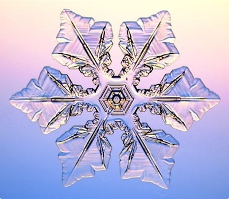 자연의 신비 - 눈결정 | 인스티즈