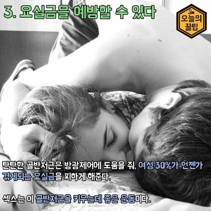 섹스가 건강에 좋은 이유 | 인스티즈