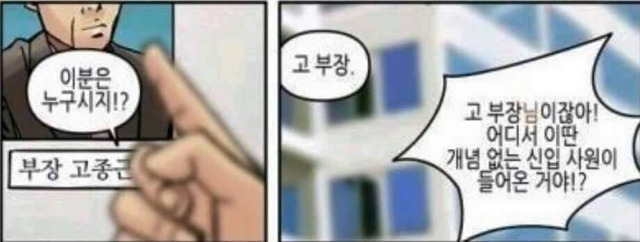 는 신입사원 길들이기 (반전주의) | 인스티즈