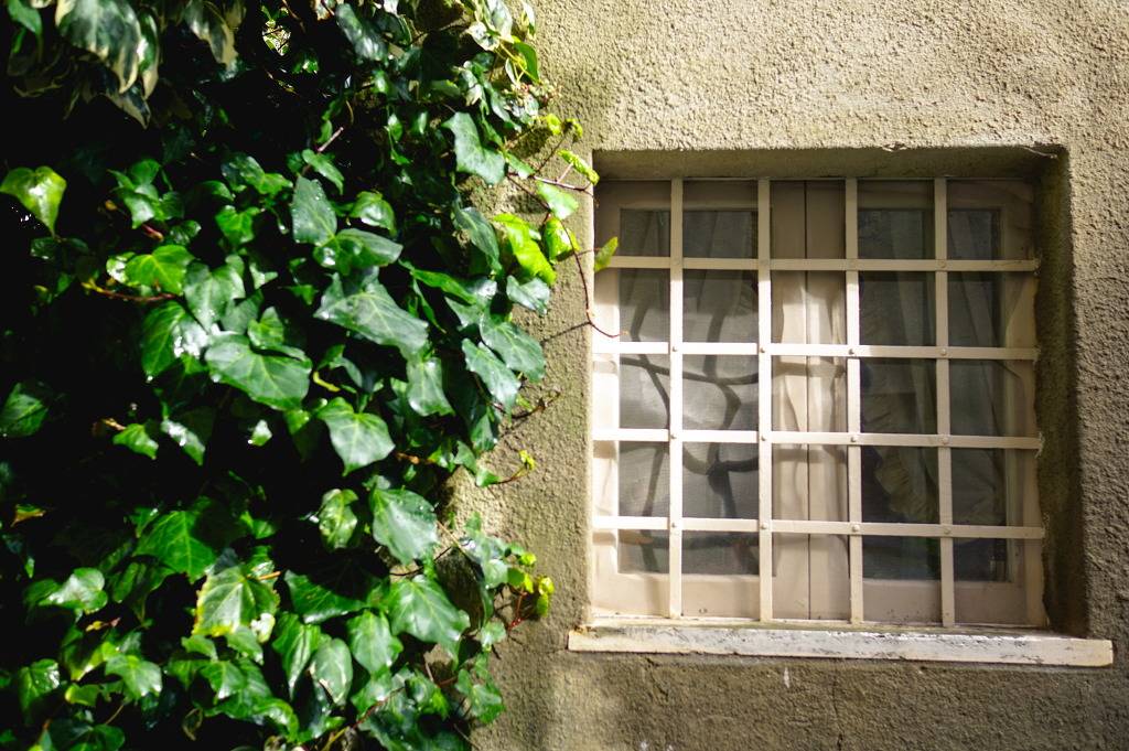 이탈리아의 예쁜 골목들 | 인스티즈