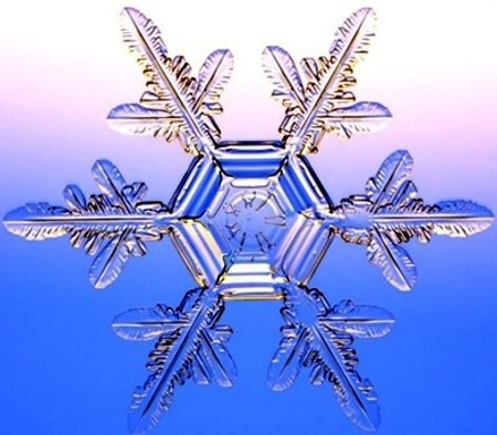 자연의 신비 - 눈결정 | 인스티즈