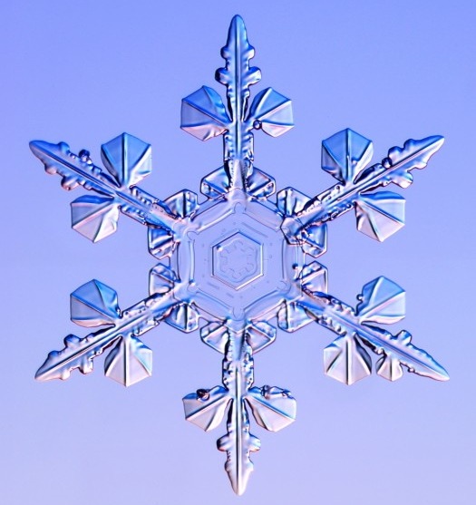 자연의 신비 - 눈결정 | 인스티즈