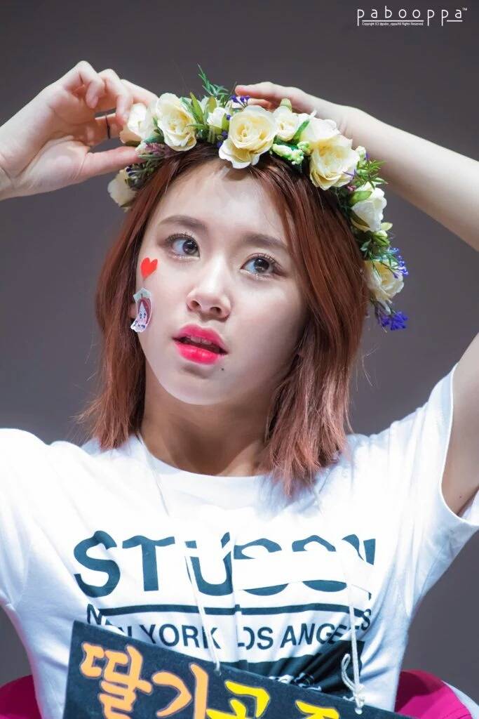 [트와이스] 아기맹수 채영이 짤 모음.gif | 인스티즈