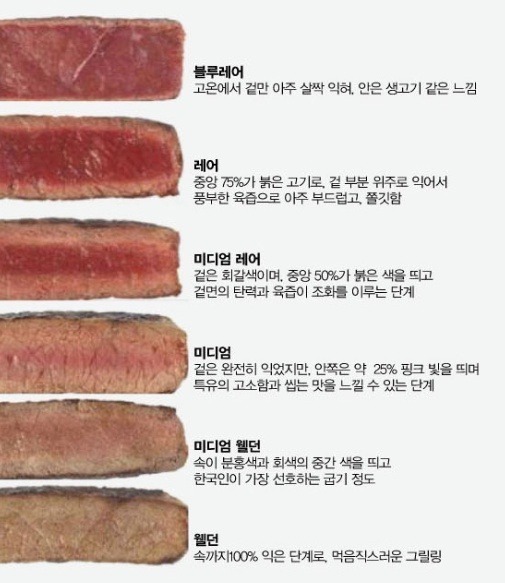 스테이크의 굽기정도 | 인스티즈