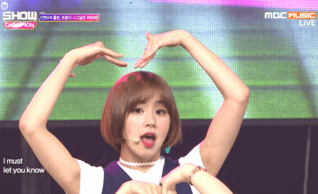 트와이스 아기맹수 손채영 | 인스티즈