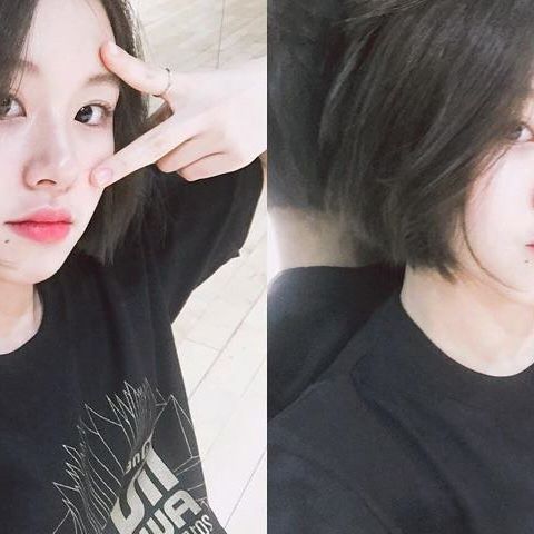 [트와이스] 아기맹수 채영이 짤 모음.gif | 인스티즈